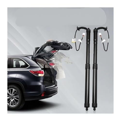 Soportes de elevación de portón para viajes en Lexus NX 6