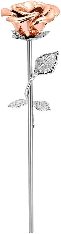 Yinplsmemory Cremation Keepsake Urn for Ashes Holder Stainless Steel Rose Flower Long Stem Ashes Locket Keepsake Memorial Jewelryfor Ashes for Women