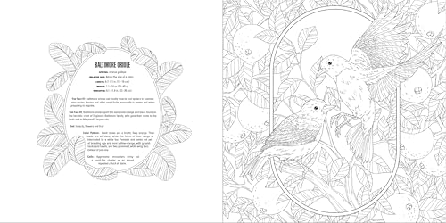 Animals: A Smithsonian Coloring Book Box Set - Image 6