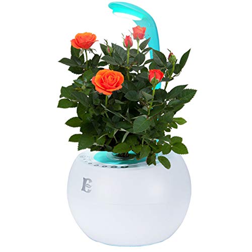 WARM WORM Mini Smart Garden with Grow Light, Hydroponics Growing System, Auto Sensor Timer Gardening Kit 360 Adjustable Desk Lamp, Best Gifts for Mom,Blue