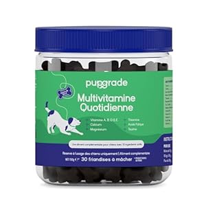 PupGrade Multivitamine Quotidienne pour Chiens – Supplément Tout-en-Un – Soutient la santé Digestive, immunitaire, de la Peau et du Pelage – 30 bouchées Molles