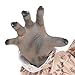 Amscan Dress Up- Abuela Lobo Vestir, Multicolor, X-Large Upto 50-Inch Chest (Amscan...