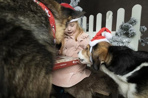 Adventskalender Hund – Nature Snack – 24 natürliche Leckerlis – glutenfrei – ohne Zuckerzusatz – Flamingo
