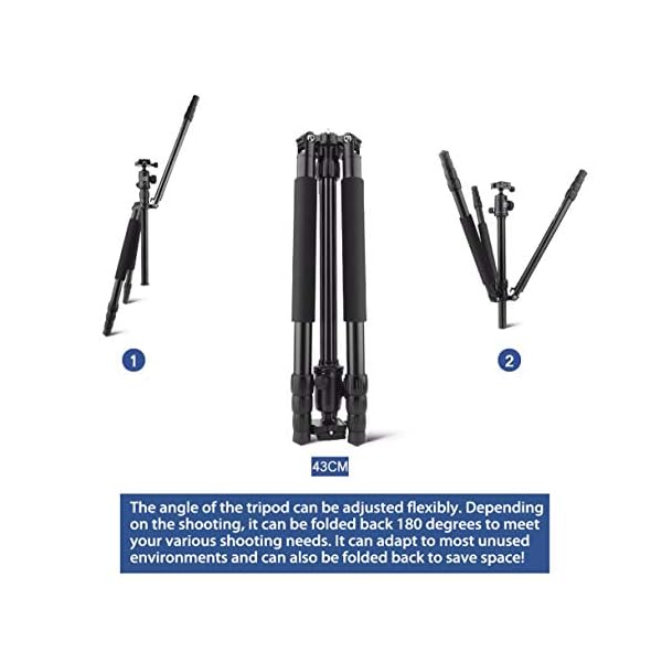 61-Inch Lightweight Tripod Kamerastativ Reisestativ Fotostativ Kamera Stativ Fotostativ Kamerastativ Aluminium Leichtes… – Bild 4