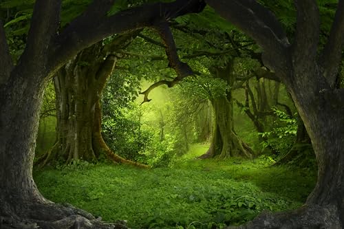 Fondo Fotográfico Bosque Encantado 7x5ft miniatura 5