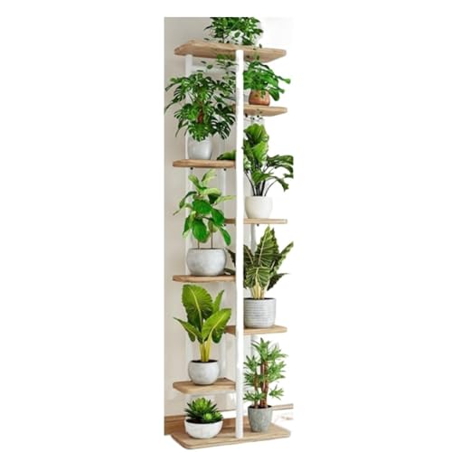 Sefoemutt[X^h 5 iKiAI kX^CI S؍ސw|bgX^h |[bN oRj[rOp (8w9,I[N)