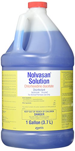 PFIZER Equine 061598 Nolvasan Disinfectant, 1 Gallon