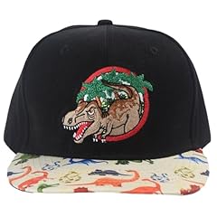 Snapback Hat