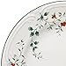 Pfaltzgraff Winterberry 10-1/2-Inch Dinner Plates, Set of 4, White