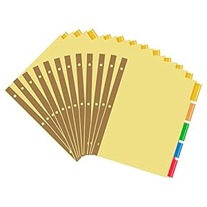 Amazon Basics 3 Ring Binder Dividers With 5 Tabs, Paper Binder Dividers, Insertable Multicolor Plastic Tabs, Pack of 12…