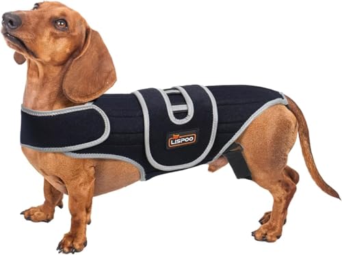 TIPOOP IVDD Dog Back Brace for Dachshunds & Slipped Disc | Post-Surgery Support & Arthritis Relief | Vet-Recommended Back Brace for Dogs | Breathable with Support Rods & Straps (Size S)