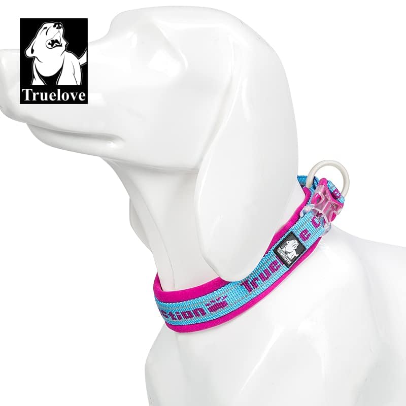WINHYEPET True Love Reflective Dog Collar - Image 3