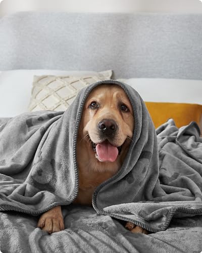 Feandrea Hundedecke, waschbar, 3er Set Haustier-Decke, XXL, 203 x 152 cm, für große und extra große Hunde, Flanell, Schutzdecke für Sofa, schiefergrau PPB016G01