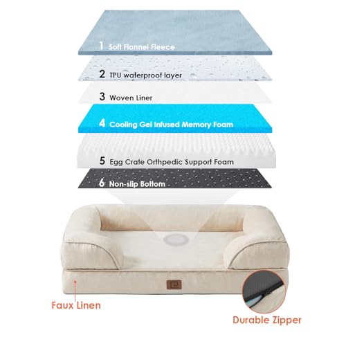 EHEYCIGA Orthopädisches Hundebett Kleine Hunde, 76x51cm, Memory Foam Hundekorb Mittelgroße Hunde, Waschbar Hundesofa Wasserdicht rutschfest, Hundecouch mit Hohem Rand, Beige