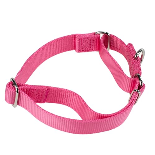 Hyhug Verbessertes Design Nylon-Gurtband, Waschen mit kaltem Wasser verblasst Nicht, verschmutzt Hundehaare Nicht, verschleißfest und Nicht anfällig für Fusseln. Rutschfestes Martingalhalsband für