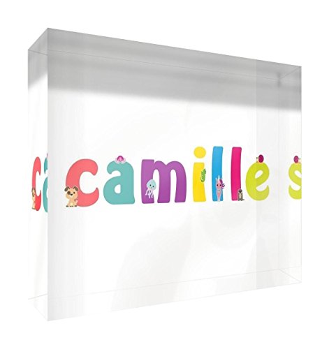 Little Helper Souvenir Décoratif en Acrylique Transparent Poli comme Diamant Style Illustratif Coloré avec le Nom de Jeune Garçon Camille 15 x 21 x 2 cm Grand