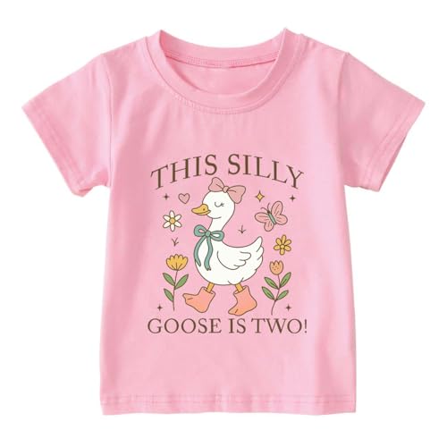 Image of Toddler Boys Girls 2nd Birthday Shirt Outfit for Kids Two Years Old Birthday Gift for Party Short Sleeve Tshirt