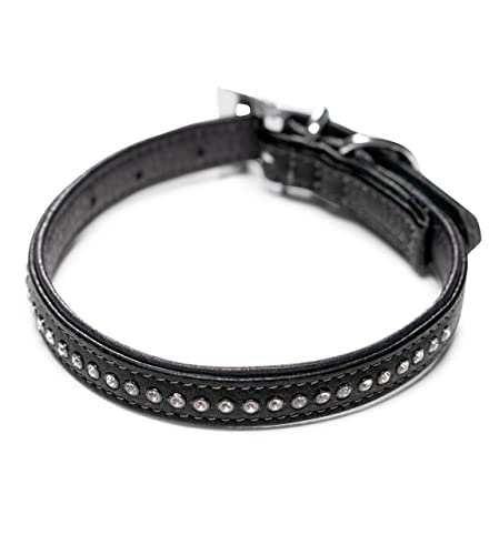 Hundehalsband aus Echt-Leder mit Strasssteinen/Kristall besetzt – funkelndes Hunde und Katzen Halsband aus gepolsterten und doppellagigen Büffelleder - Lederhalsband Audrey (M (24.5-32.5cm), Schwarz)