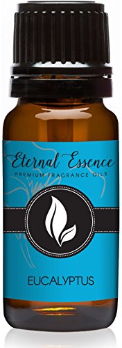 Image of Eucalyptus Premium Grade Fragrance Oil - 10ml - Scented Oil