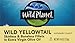 Wild Planet Wild Yellowtail Fillets in Organic Extra Virgin Olive Oil, Skinless & Boneless, Tinned Fish, Sustainably Wild-Caught, Non-GMO, Kosher, Gluten Free, Keto and Paleo, 4.4 Ounce Single Unit