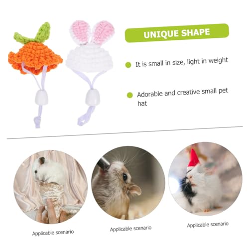 LOLIPPYY lY~̃RX`[Xq 2 ybg̎ʐ^ nX^[ bgp ߉\ȏpXq p[eB[ANZT[