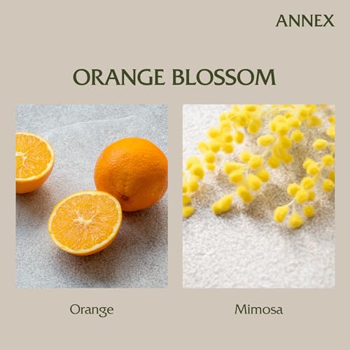 Handmade-Ceramic-Candles-Orange-Blossom–Orange-Mimosa-Scented-Soy-Wax-Non-Toxic-2-Cotton-Wick-Large-Orange-Jar-Reusable-Natural-Aromatherapy-Luxury-Candle-for-Women-Men-Gift Handmade Ceramic Candles Orange Blossom–Orange Mimosa Scented Soy Wax Non Toxic 2 Cotton Wick Large Orange Jar Reusable Natural Aromatherapy Luxury Candle for Women Men Gift