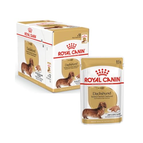 ROYAL CANIN Dachshund Adult Mousse | 4er Pack | 4 x 12 x 85 g | Alleinfuttermittel für Hunde | Ausgewachsene Dackel