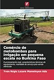  Comércio de motobombas para irrigação em pequena escala no Burkina Faso: Funcionamento real, características técnicas do equipamento, realidade do serviço pós-venda oferecido