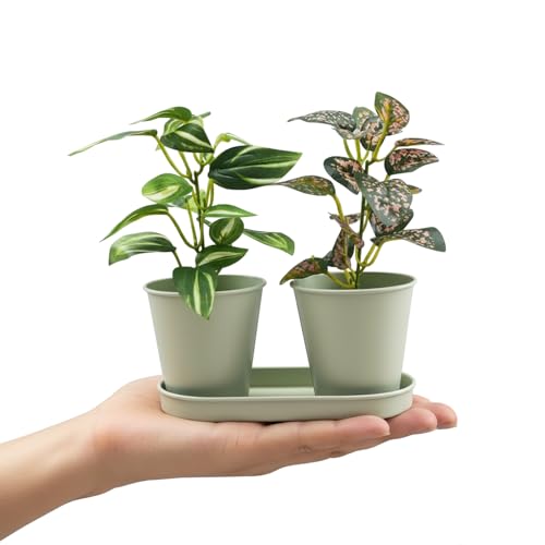 Image of KARP Artificial Potted Plants, Delphinium Flower Plant with White Pot Home Decor, Plants for Living Room, Office Desk & Bathroom, Decorative (Small-Plant-1)