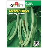 Burpee 'Kentucky Wonder' Pole Bean Seeds - 21gm Non-GMO Seed Packet for Home Garden - Heirloom Vegetable Seeds for Planting Outdoors, Direct Sow, Annual Garden Seed