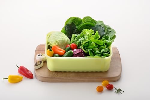 Image of LocknLock Fresh-Block Plastic Food Storage Container | Produce Storage Containers for Fridge | Vegetable & Fruit Storage Containers for Fridge, Storage, Microwave & Dishwasher Safe, 3.2L