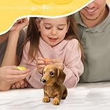 GTFYUDGH Spielzeug Hund Dackel, 17x15x10cm Plüschtier Hund Realistisch Dackel, Dackels Kuscheltier, Süßes Realistisches Wurst Hunden Welpe Stofftier Für Kleinkinder Mädchen Geschenk Geburtstag