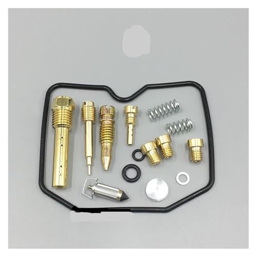Réparer les fuites d'essence de votre KLR250 avec ce kit carburateur complet