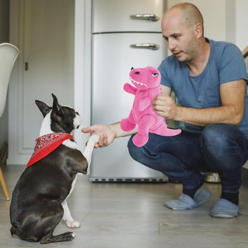Plush Dinosaur Dog Toy, interaktives Hunde-Kauspielzeug, Squeaky-Puppe, Teeth Cleaning & Bite Resistant, ideal für kleine & mittlere Brötchen für Hunde & Katzen, Größe 8,66 x 6,3 Zoll