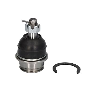 Amazon.com: Ball Joint 555 SB-3882 : Automotive