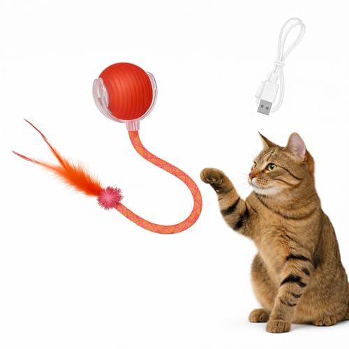CKFPS Interactive Cat Toy Ball – Rechargeable Smart Rolling Cat Ball Toy – Auto Movement – Indoor Cat Toys for Kittens – Light-Up Modes – Dual Speed – Cat Toys Interactive