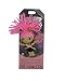 Watchover Voodoo The Princess Novelty