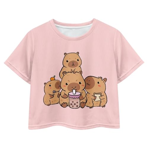 Image of Girls Crop Tees Crew Neck Casual Short Sleeve T Shirts Kids Loose Soft Comfortable Tees Blouses Shirt for Little Girl