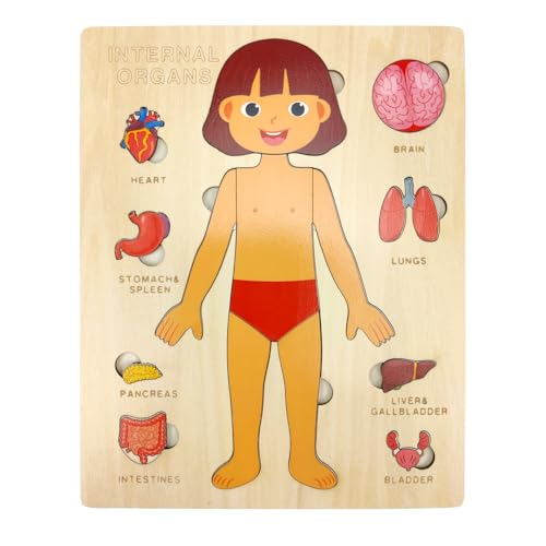 Image of Wooden Body Puzzles for Kids, Toddler Montessori 14 Pieces Girl Anatomy Puzzle, Human Body Learning Toy with Internal Organs Early STEM Educational Toy for Boys and Girls Ages 3 4 5 6 Years Old