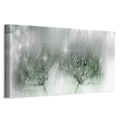 murando - Quadro Acustico Soffione Fiori 1 pezzo schiuma acustica Quadri Moderni Soggiorno - Stampa su Tela - Pannelli Fonoassorbenti Decorativi - Fonoassorbente - Protegge da Rumori