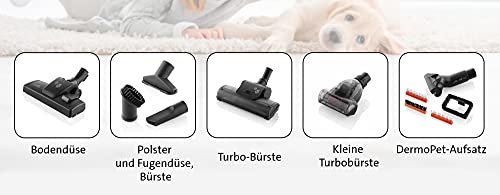 ETA Beutelloser Staubsauger Grande Animal I 850W I 2X HEPA-Filter I 3.2l Volumen I Einzigartiger DermoPet-Aufsatz für Tierfelle und Tierhaare I Bodenstaubsauger