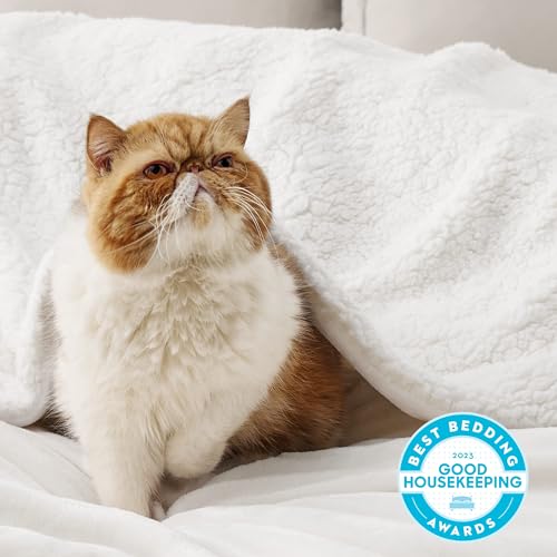 Image of Bedsure GentleSoft Sherpa Fleece Twin Size Blanket for Couch, Non-Heated, Thick and Warm Throw for Women and Men, Soft Fuzzy Plush Twin Blanket for Winter, White, 60x80 Inches