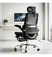DROGO Ergonex Ergonomic Office Chair for Work from Home with Mesh, Armrest, 2D Headrest & Lumbar ...