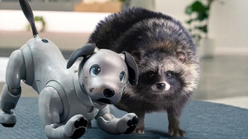 Robottoni, cyborg, IA: la tecnologia al servizio dell&rsquo;uomo (forse) - Japan Wildlife #118