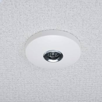 川口技研 室内用物干し ホスクリーン SPCLL-W ホワイト 1本 8874 楽天市場】【送料無料】川口技研 SPCLL-W 1本 /LLサイズ 室内用