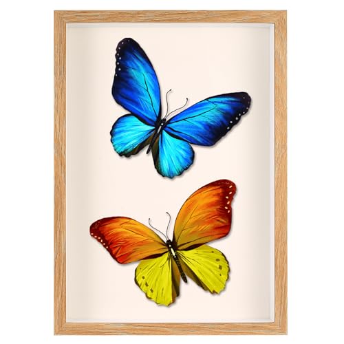 Marco de fotos 3D para rellenar, marco de fotos 3D A4 profundo para rellenar, marco de objetos de 3,5 cm de profundidad con placa acrílica transparente para fotos, medallas, regalos, flores secas