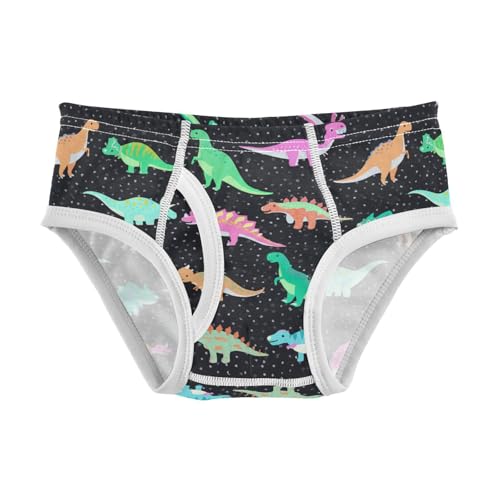 Dinosaurs Cute Toddler Boy's Underwear 2T 202c1562