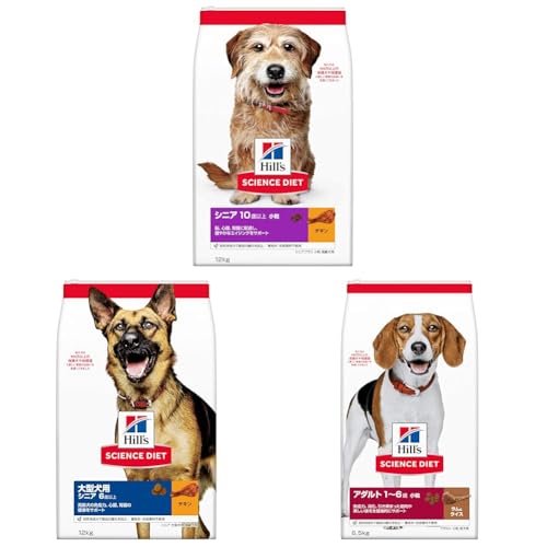 yZbgzqY TCGX_CGbg hbOt[h VjAvX  10Έȏ `L 12s p hC + qY TCGX_CGbg hbOt[h ^p VjA 6Έȏ `L 12s p hC e  + q