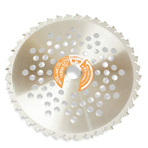 @  n {zCg`bv\[255×40P 10