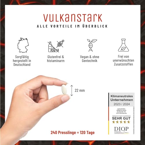 MSM Tabletten hochdosiert - 2000 mg MSM mit natürlichem Vitamin C aus Acerola - Vorrat für 4 Monate - Alternative zu MSM Kapseln - Methylsulfonylmethan vegan laborgeprüft